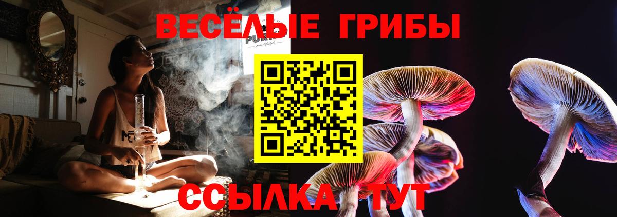 Галлюциногенные грибы мицелий  Вход с VPN  Старая Русса 