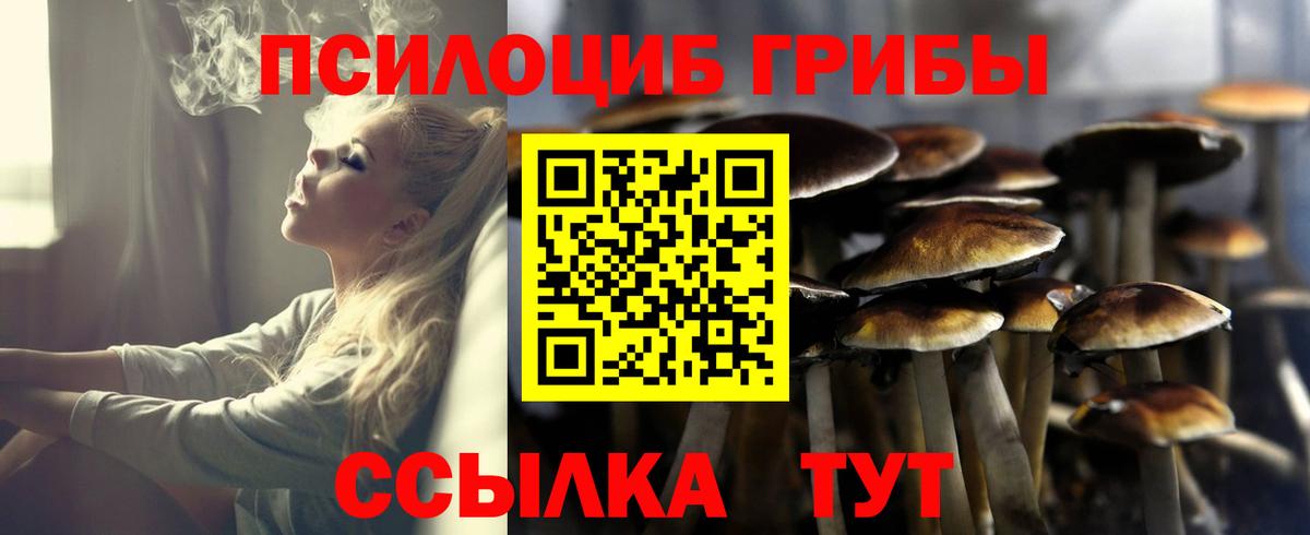 Псилоцибиновые грибы Magic Shrooms Старая Русса